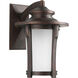 Pedigree 1 Light 17 inch Autumn Haze Outdoor Wall Lantern