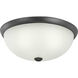 Glass Domes 3 Light 16.5 inch Graphite Flush Mount Ceiling Light