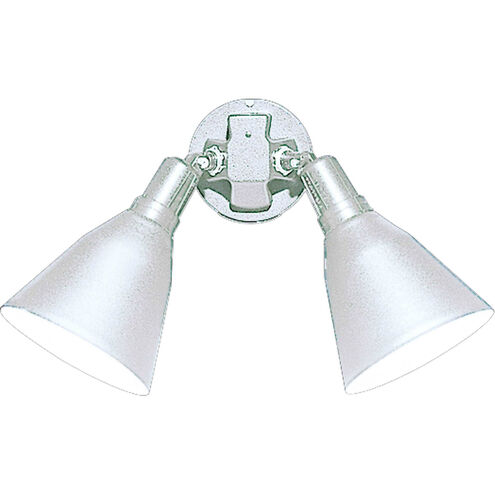 Par Lampholder 2 Light 11 inch White Outdoor Adjustable Swivel Flood Light