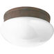 Fitter 2 Light 10 inch Cobblestone Close-to-Ceiling Ceiling Light in Bulbs Not Included, White Glass