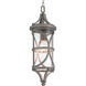 Morrison 1 Light 8 inch Antique Pewter Outdoor Hanging Lantern, Design Series