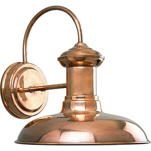 Brookside 1 Light 11 inch Cognac Outdoor Wall Lantern in Copper, Medium