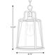 Benton Harbor 1 Light 9 inch Textured Black Outdoor Hanging Lantern, with DURASHIELD