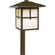 Landscape 120V 60 watt Weathered Bronze Path Light