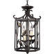 Eden 4 Light 14 inch Forged Bronze Hall & Foyer Ceiling Light