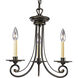 Bradford 3 Light 16 inch Forged Bronze Chandelier Ceiling Light