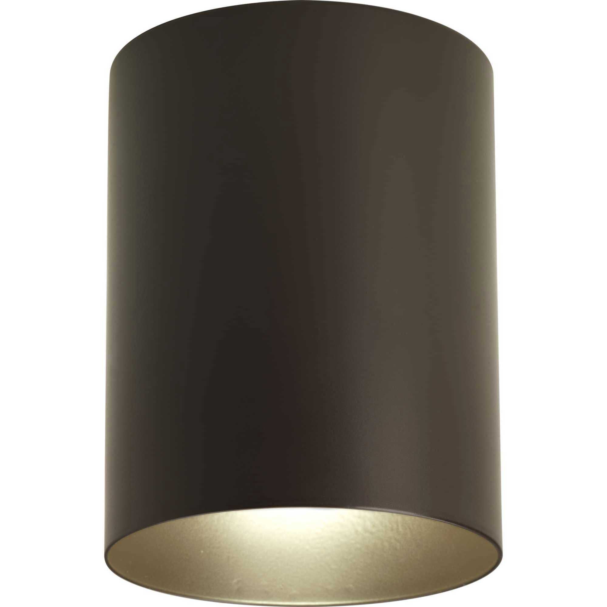 Cylinder 1 Light 5 inch Antique Bronze Outdoor Ceiling Mount Cylinder in Standard Lamping