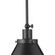 Hinton 1 Light 16 inch Matte Black Pendant Ceiling Light