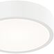 Rizo LED Matte White Ceiling Fan Light Kit
