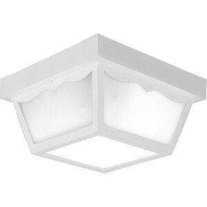 Ceiling Mount 2 Light 10.25 inch Outdoor Ceiling Light