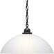 Classic Dome 1 Light 15 inch Graphite Pendant Ceiling Light