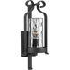 Hermosa Outdoor Wall Lantern, Medium, Design Series