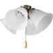 Universal 4 Light Brushed Nickel Fan Light Kit in Alabaster Glass