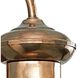 Brookside 1 Light 10 inch Cognac Outdoor Wall Lantern in Copper, Small