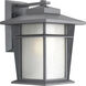 Loyal 1 Light 13 inch Textured Graphite Outdoor Wall Lantern 