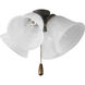 Universal 4 Light Antique Bronze Fan Light Kit in Alabaster Glass