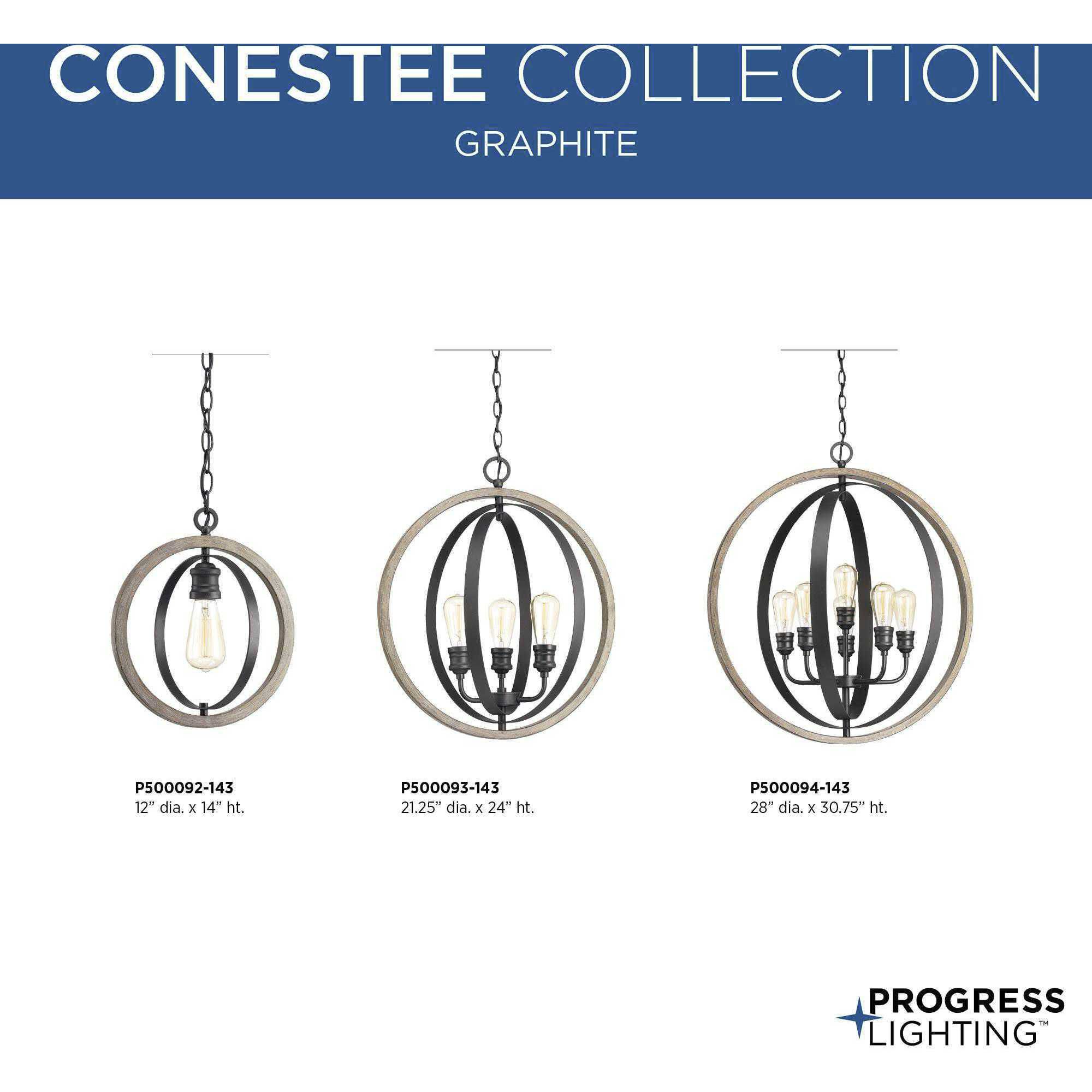Conestee 1 Light 12 inch Graphite Mini-Pendant Ceiling Light