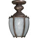 Roman Bronze 1 Light 13 inch Roman Bronze Outdoor Wall Lantern
