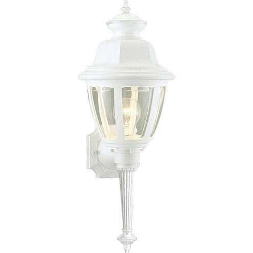 Non-Metallic 1 Light 21 inch White Outdoor Wall Lantern