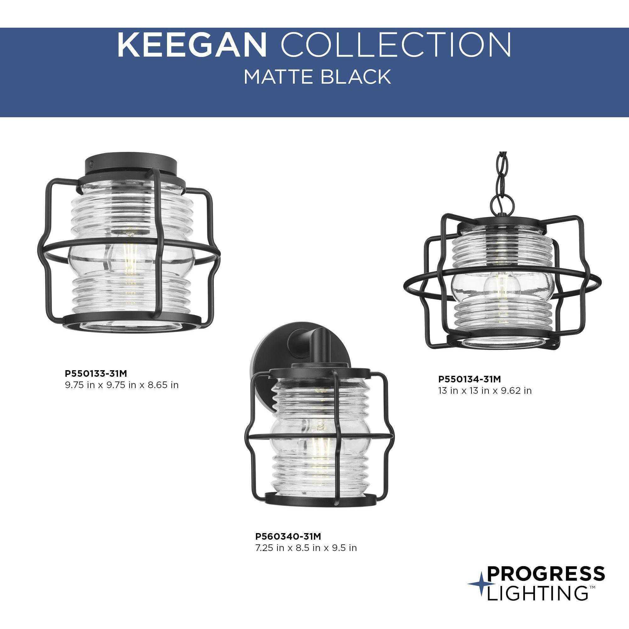 Keegan 1 Light 9.75 inch Matte Black Outdoor Flush Mount