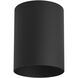 Cylinder 1 Light 5 inch Black Outdoor Ceiling Mount Cylinder in Standard Lamping