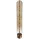 Lamps Incandescent A19 E26 40 watt 120-277 Vintage Bulb, Medium