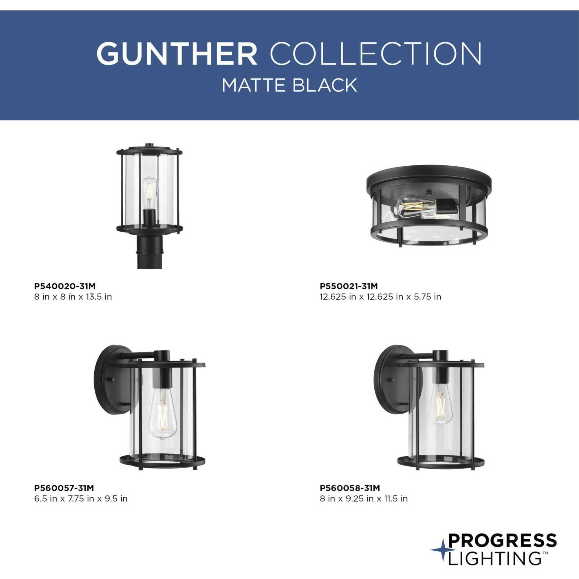 Gunther 1 Light 13.5 inch Matte Black Post Lantern