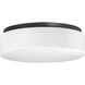 Hard-nox 2 Light 11 inch Black Outdoor Ceiling Mount in Standard