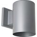 Cylinder Outdoor Wall Cylinder in Metallic Grey, LED Lamping, Progress LED