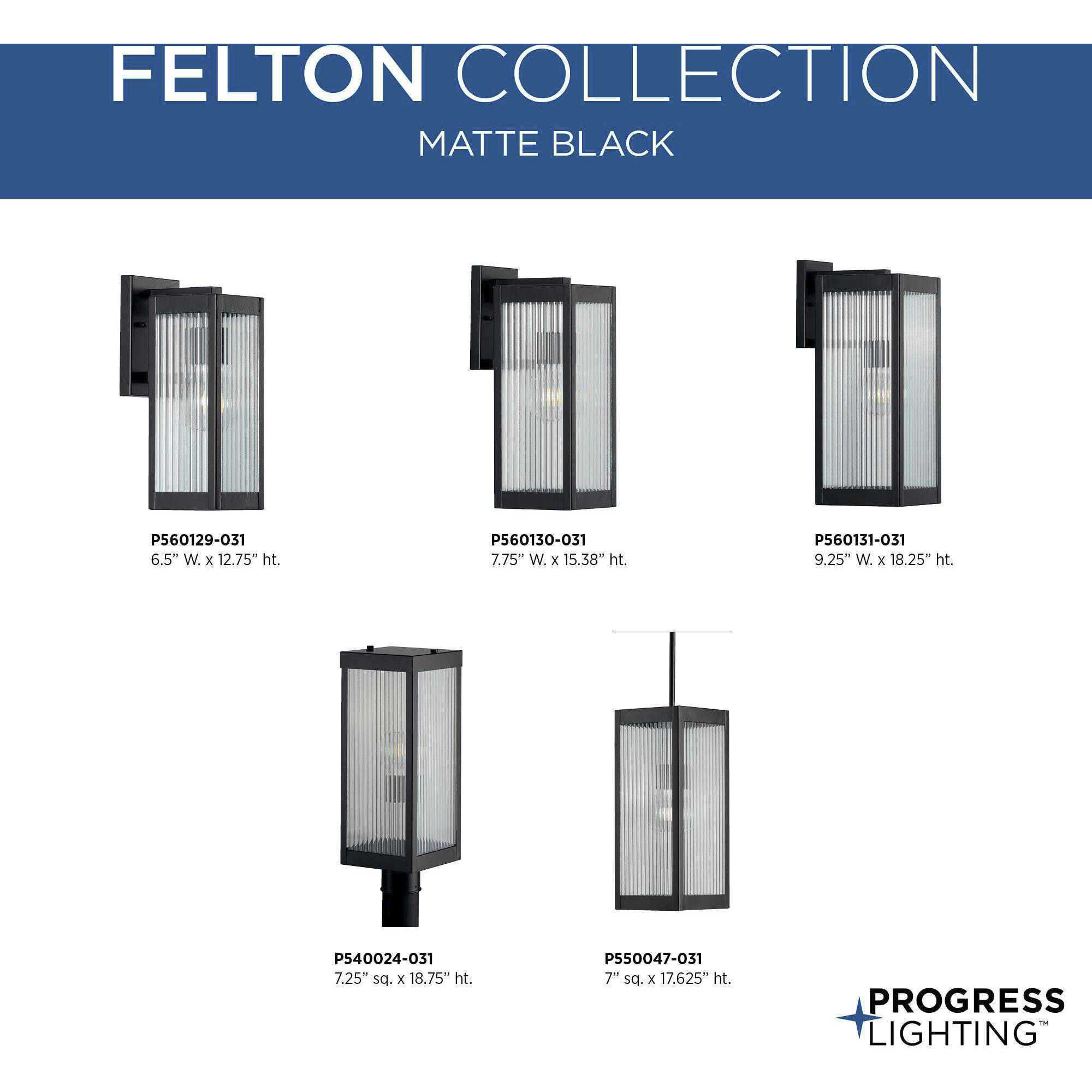 Felton 1 Light 7 inch Matte Black Outdoor Hanging Lantern