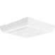 Squares 2 Light 9.5 inch White Outdoor Ceiling Mount