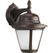 Westport LED Outdoor Wall Lantern in Antique Bronze, LED Lamping, Medium, Progress LED