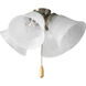 Universal 4 Light Brushed Nickel Fan Light Kit in Alabaster Glass