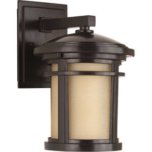 Wish 1 Light 10 inch Antique Bronze Outdoor Wall Lantern in Standard, Small