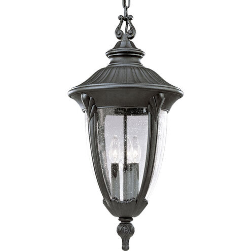 Meridian 3 Light 12 inch Textured Black Outdoor Hanging Lantern