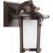 Pedigree 1 Light 10 inch Autumn Haze Outdoor Wall Lantern