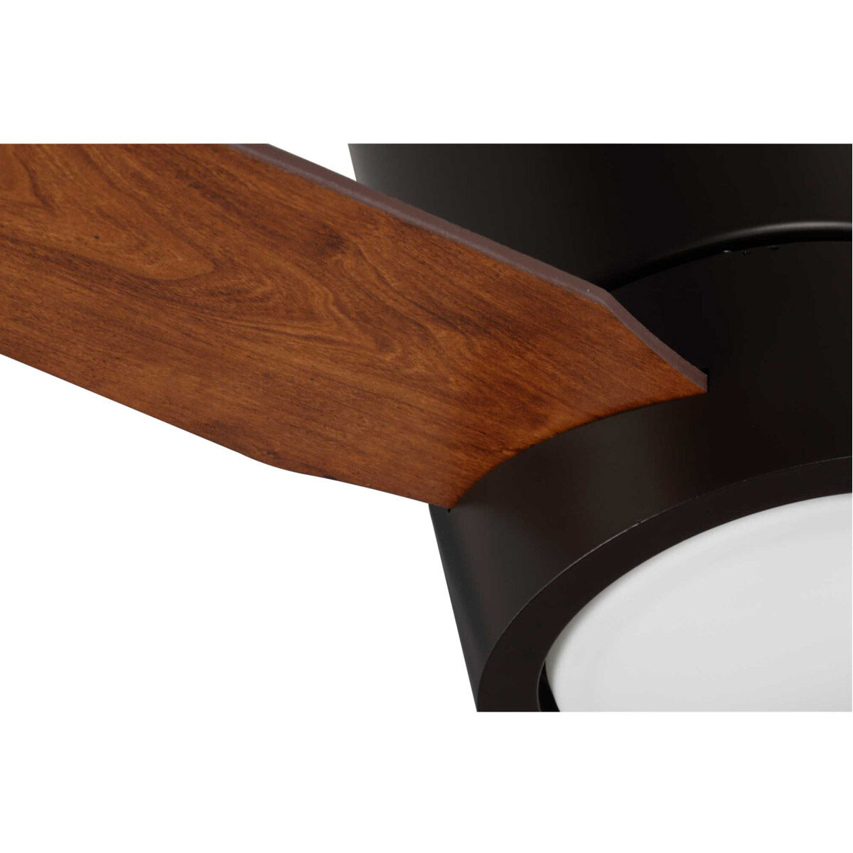 パーフェクトハーモニー　ベーシックプラス　セラミックプレート W12、D8、H2 Amazon.com : Duramax Woodside Plus 10 x 8 (8.02 m2) Plastic Garden