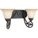 Le Jardin 2 Light 17 inch Espresso Bath Vanity Wall Light