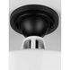Cedar Springs 1 Light 13 inch White Outdoor Semi-Flush Mount