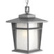 Loyal 1 Light 9 inch Textured Graphite Outdoor Hanging Lantern