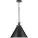 Hinton 1 Light 16 inch Matte Black Pendant Ceiling Light