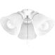 AirPro Fan Light Kit