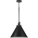 Hinton 1 Light 16 inch Matte Black Pendant Ceiling Light