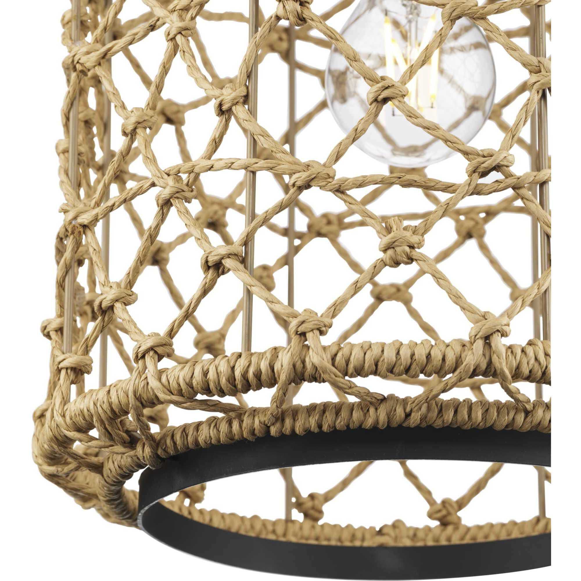 Chandra 1 Light 10 inch Matte Black Mini-pendant Ceiling Light, Design Series