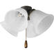 Universal 4 Light Antique Bronze Fan Light Kit in Alabaster Glass