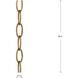 Accessory Chain Gold Ombre Chain