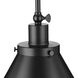 Hinton 1 Light 16 inch Matte Black Pendant Ceiling Light