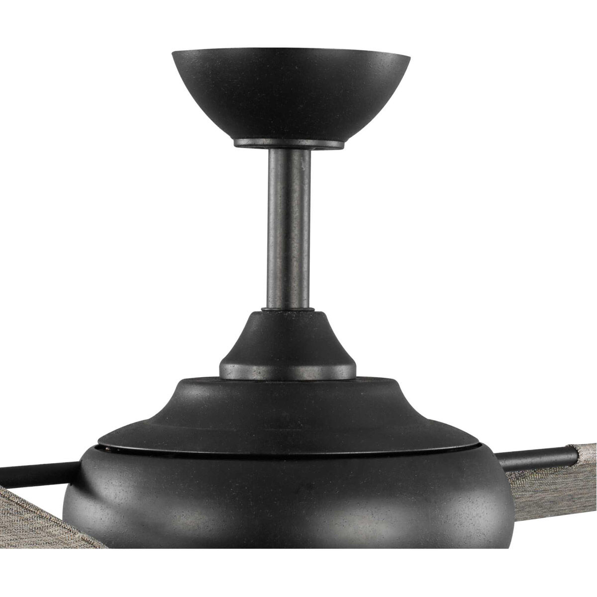 Edisto 54 inch Forged Black with Charcoal Blades Indoor/Outdoor Ceiling Fan, Progress LED