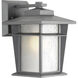 Loyal 1 Light 10 inch Textured Graphite Outdoor Wall Lantern