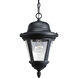 Westport 1 Light 9 inch Textured Black Outdoor Hanging Lantern in Bulbs Not Included, Clear Seeded